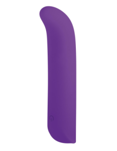 NMC 5 INCH SILICONE 10 FUNCTION VIBRATOR PURPLE 2