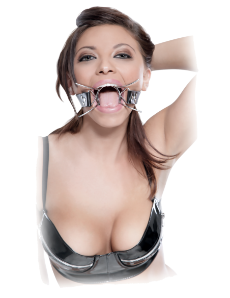 FETISH FANTASY EXTREME SPIDER GAG SILVER