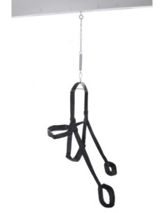 FETISH FANTASY SERIES FANTASY SWING 2