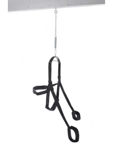 FETISH FANTASY SERIES FANTASY SWING