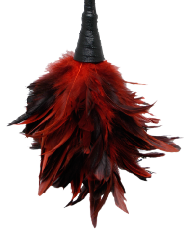 SERIE DE FANTASÍA FETICHISTA PLUMERO JUGUETÓN ROJO