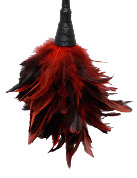 FETISH FANTASY SERIES FRISKY FEATHER DUSTER RED