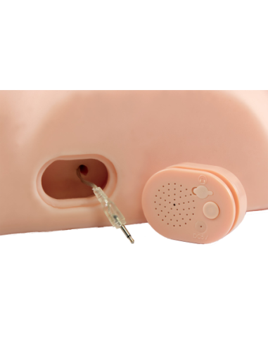 PDX MALE DIRTY TALK INTERACTIVE FUCK HIM SILLY...