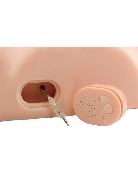 PDX MALE DIRTY TALK INTERACTIVE FUCK HIM SILLY LIGHT