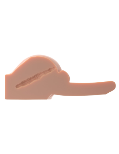 PDX HOMBRE DIRTY TALK INTERACTIVO CHICO MALO LUZ