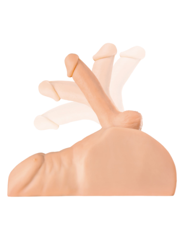 LUZ DE CONDUCCIÓN PDX PLUS PERFECT