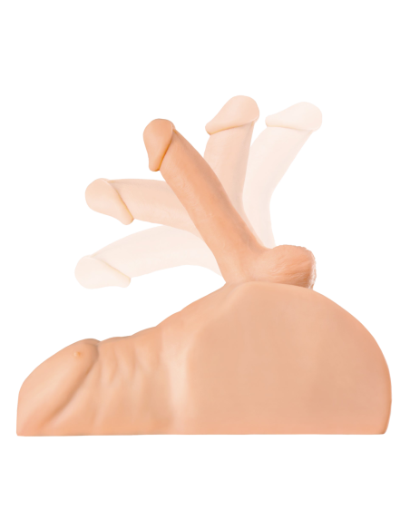 PDX PLUS PERFECT RIDE LIGHT