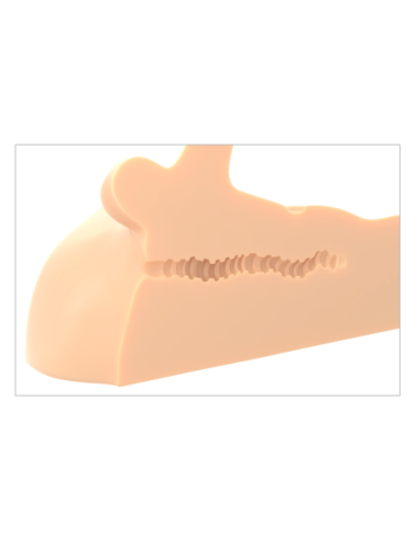 LUZ DE CONDUCCIÓN PDX PLUS PERFECT