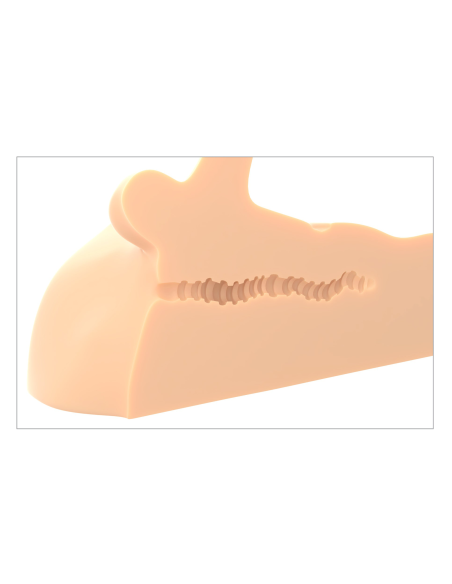 LUZ DE CONDUCCIÓN PDX PLUS PERFECT