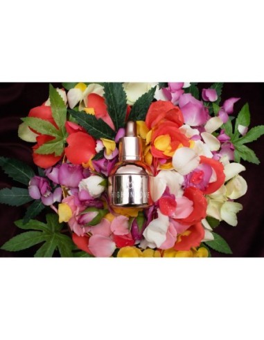 HIGH ON LOVE SENSUAL STIMULATING OIL 30ML