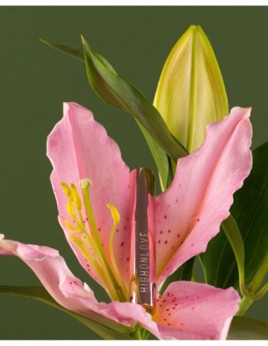 HIGH ON LOVE THE MINIS PLEASURE COLLECTION