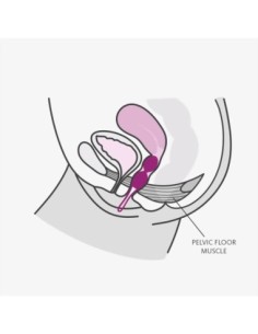 FUN FACTORY SMARTBALLS DUO GRAY&BLACK 2