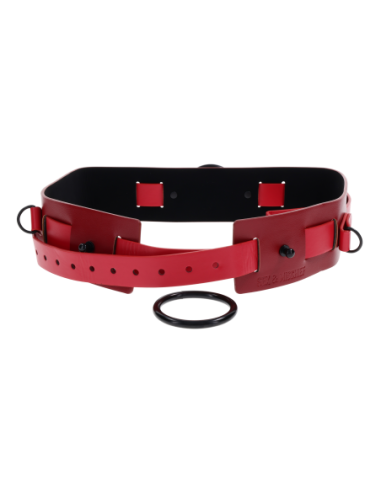 SPORTSHEETS EX'S AND OH'S BOUND AND BELTED