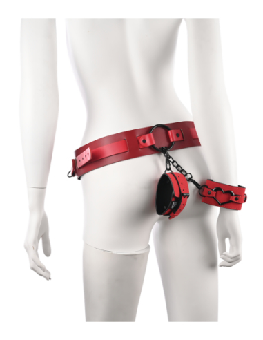 SPORTSHEETS EX'S AND OH'S BOUND AND BELTED