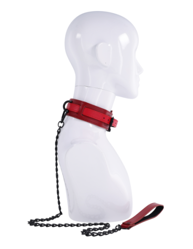 COLLAR Y CORREA DESPORTSHEETS EX Y OH