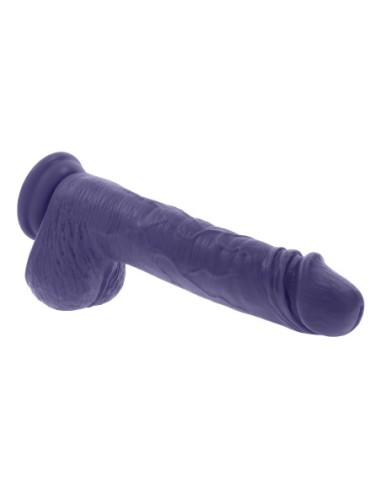 EVOLVED JINETE DE PLACER