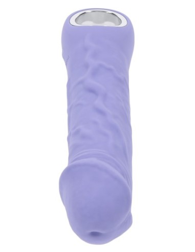 EVOLVED PURPLE FANTASY