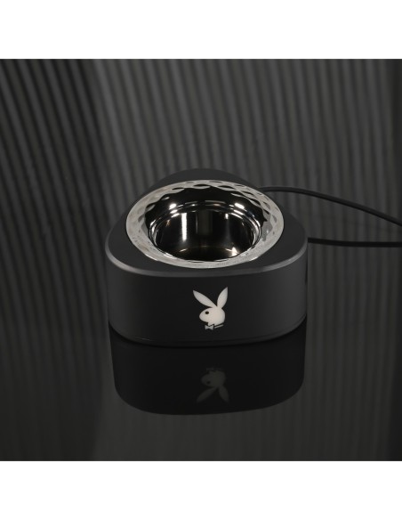 PLAYBOY PLEASURE ZONE