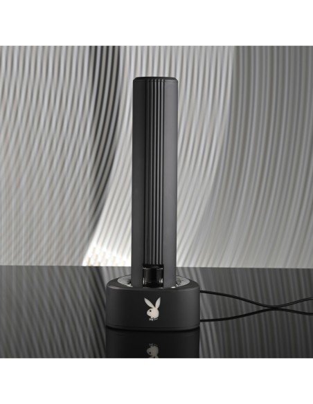 PLAYBOY PLEASURE ZONE