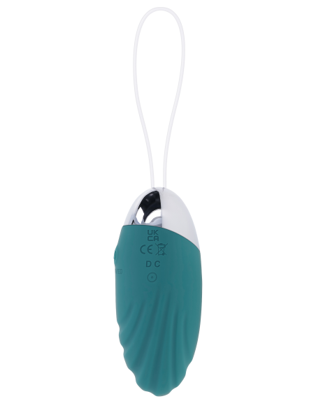 EVOLVED DESPACHO OVAL