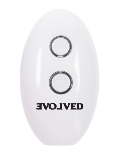 EVOLVED PARADISE PANTY