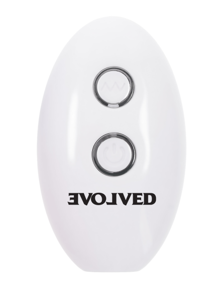 EVOLVED PARADISE PANTY