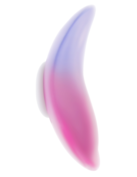 EVOLVED PARADISE PANTY