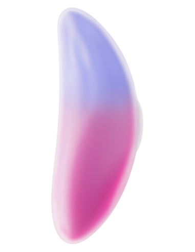 EVOLVED PARADISE PANTY