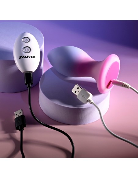 EVOLVED PARADISE PLUG