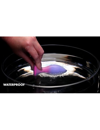 EVOLVED PARADISE PLUG