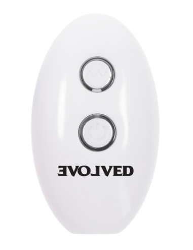 EVOLVED PARADISE PLUG