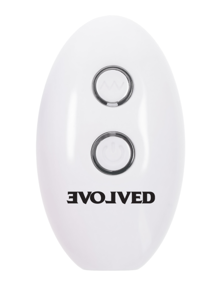 EVOLVED PARADISE PLUG