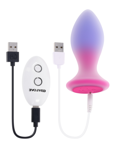 EVOLVED PARADISE PLUG