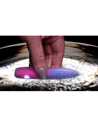 EVOLVED BALA DEL PARAÍSO