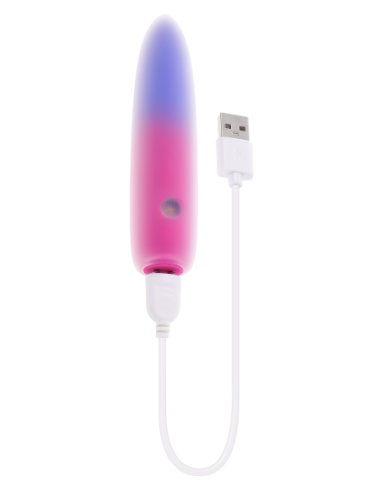 EVOLVED PARADISE BULLET