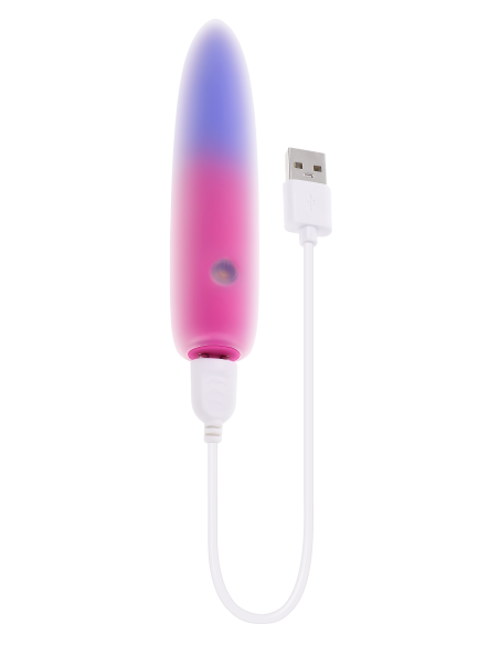 EVOLVED PARADISE BULLET