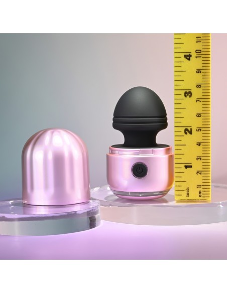 EVOLVED VIBRACIONES DE VACACIONES