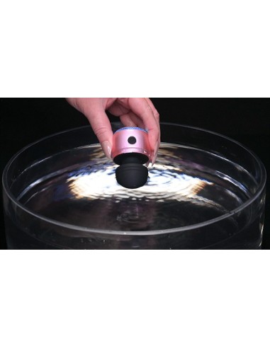 EVOLVED VIBRACIONES DE VACACIONES