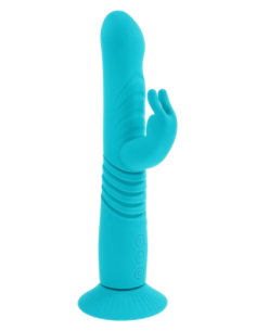 EVOLVED CONEJITO HOP 2