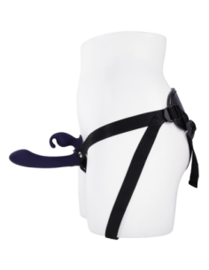 EVOLVED VIBRACIONES GENEROSAS