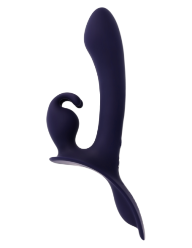 EVOLVED VIBRACIONES GENEROSAS