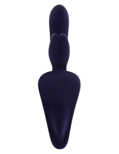 EVOLVED VIBRACIONES GENEROSAS