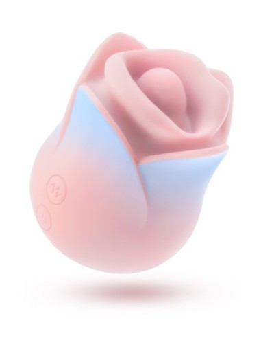 BLUSH COLECCIÓN KISSING ROSE ROSA