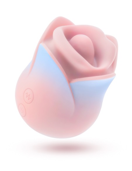 BLUSH COLLECTION KISSING ROSE PINK