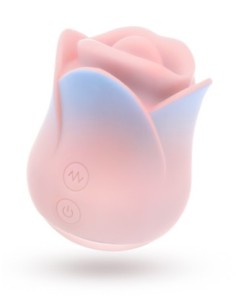 BLUSH COLLECTION KISSING ROSE PINK 2