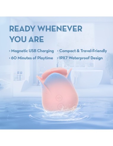 BLUSH COLLECTION KISSING ROSE PINK