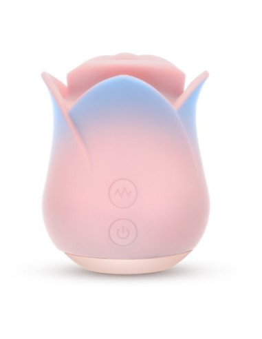 BLUSH COLECCIÓN KISSING ROSE ROSA