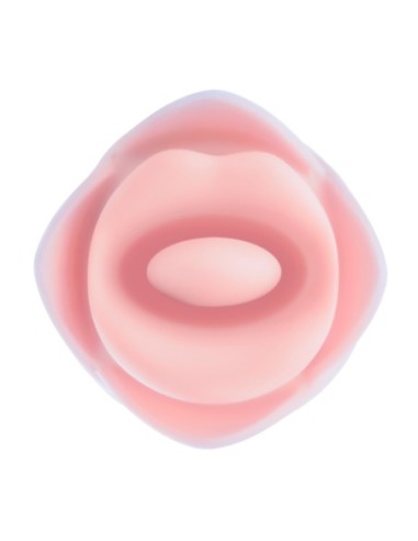 BLUSH COLECCIÓN KISSING ROSE ROSA