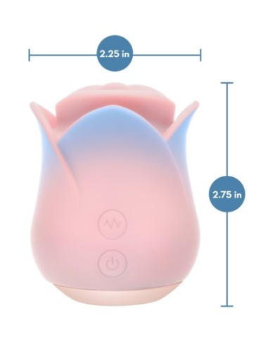 BLUSH COLLECTION KISSING ROSE PINK