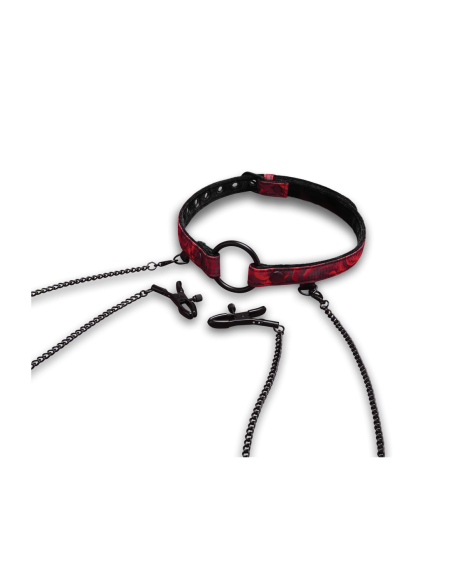 SECRET KISSES ROSEGASM MORDAZA DE BOCA ABIERTA CON PINZAS PARA LOS PEZONES